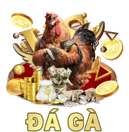 Dịch vụ hỗ trợ khách hàng chuyên nghiệp